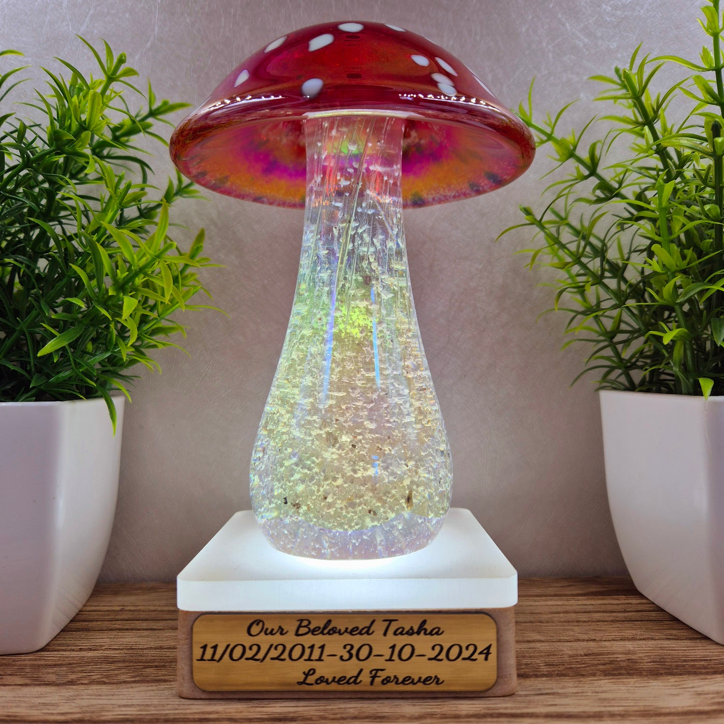 Ashes in glass mushrooms