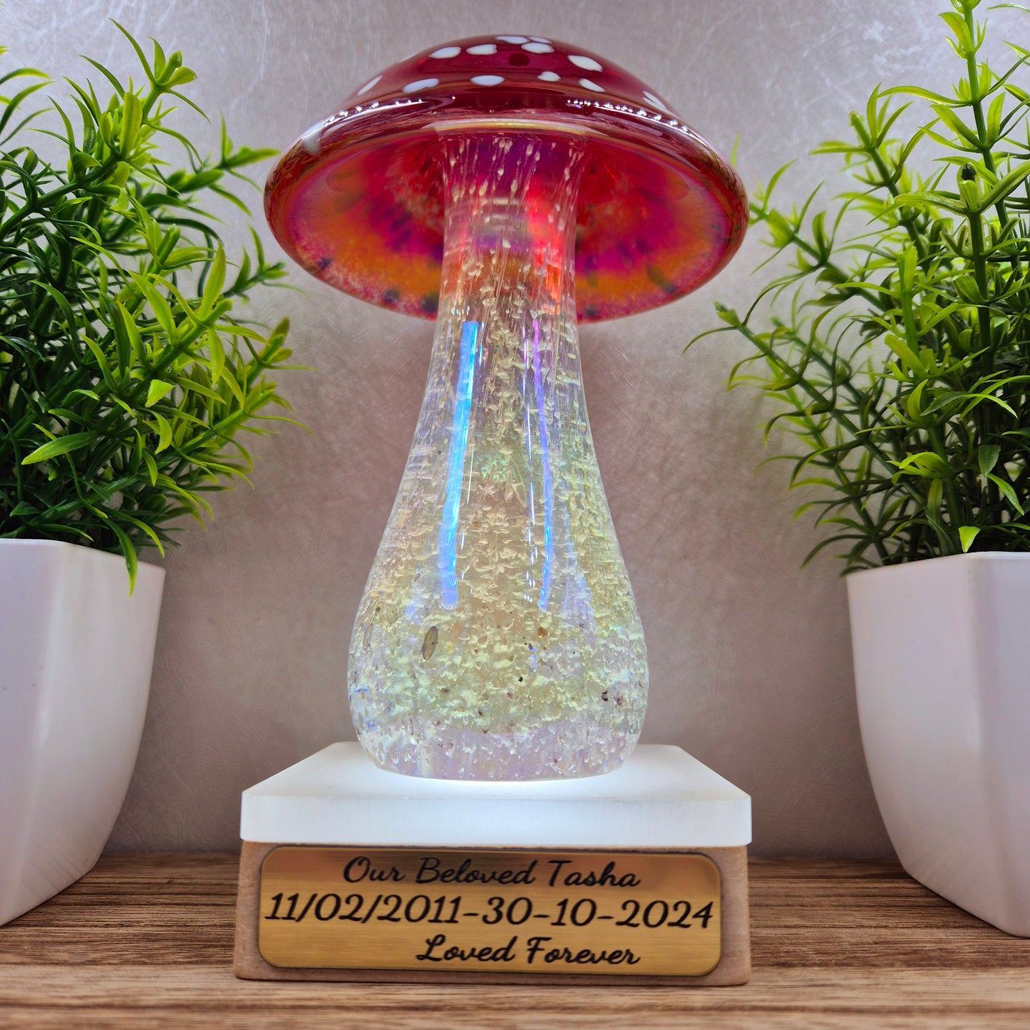 Ashes in glass mushrooms