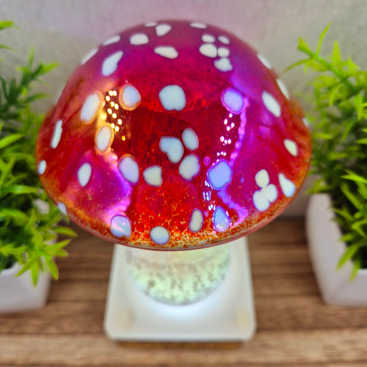 Ashes in glass mushrooms