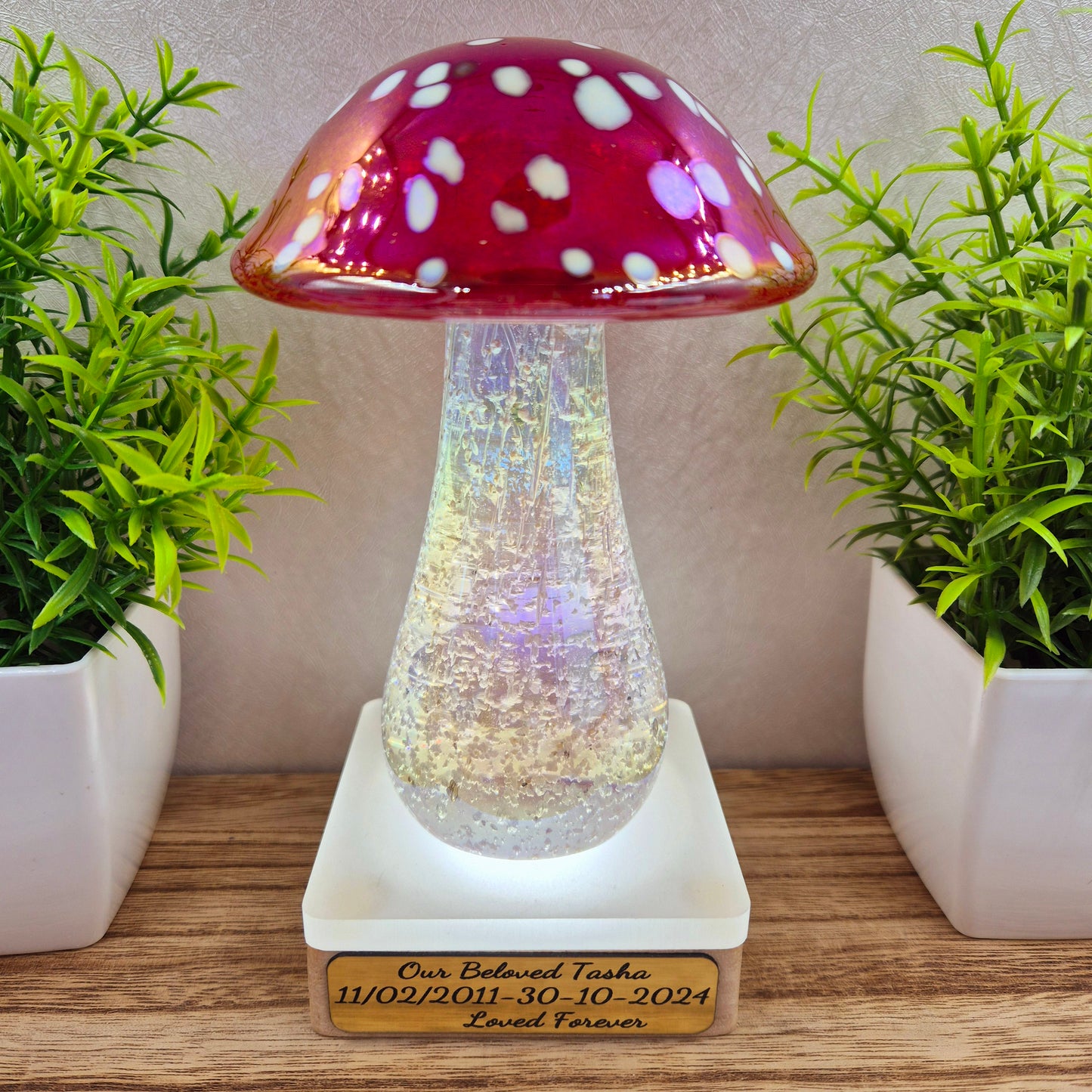 Ashes in glass mushrooms