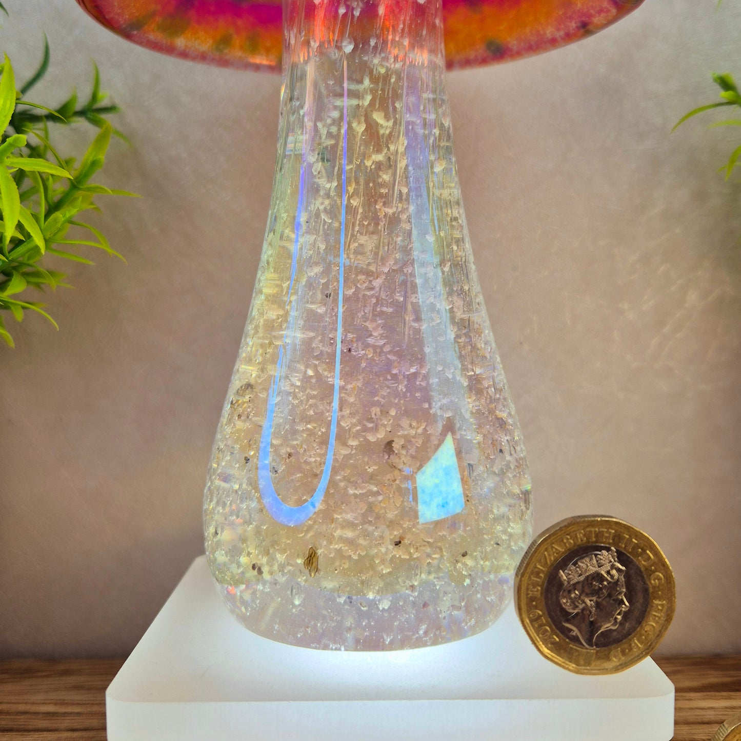 Ashes in glass mushrooms