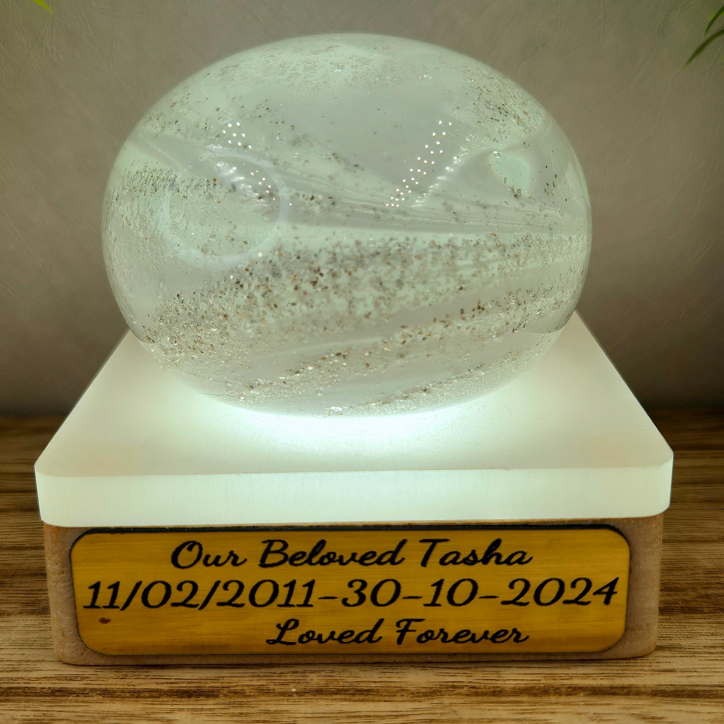 Ashes in glass large pebble Paperweight