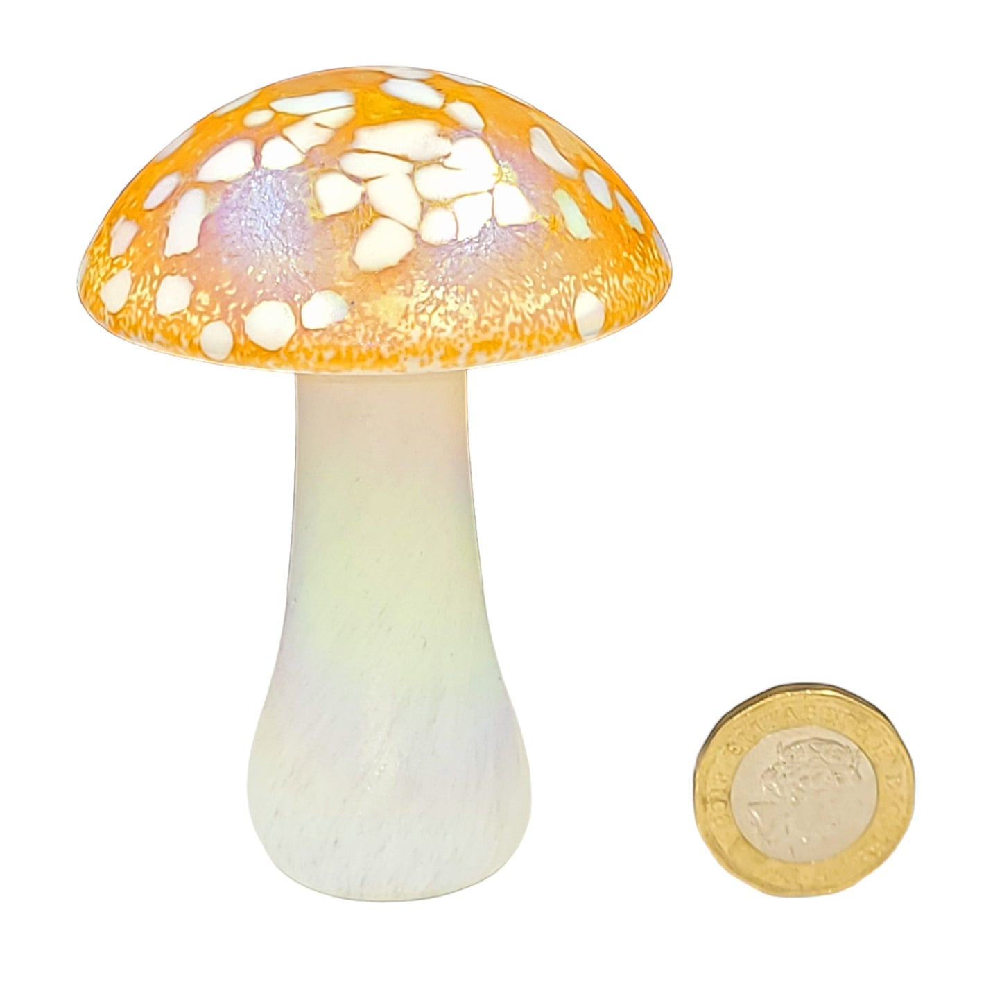 Glass mushroom decor ornament display glassware, colour choice