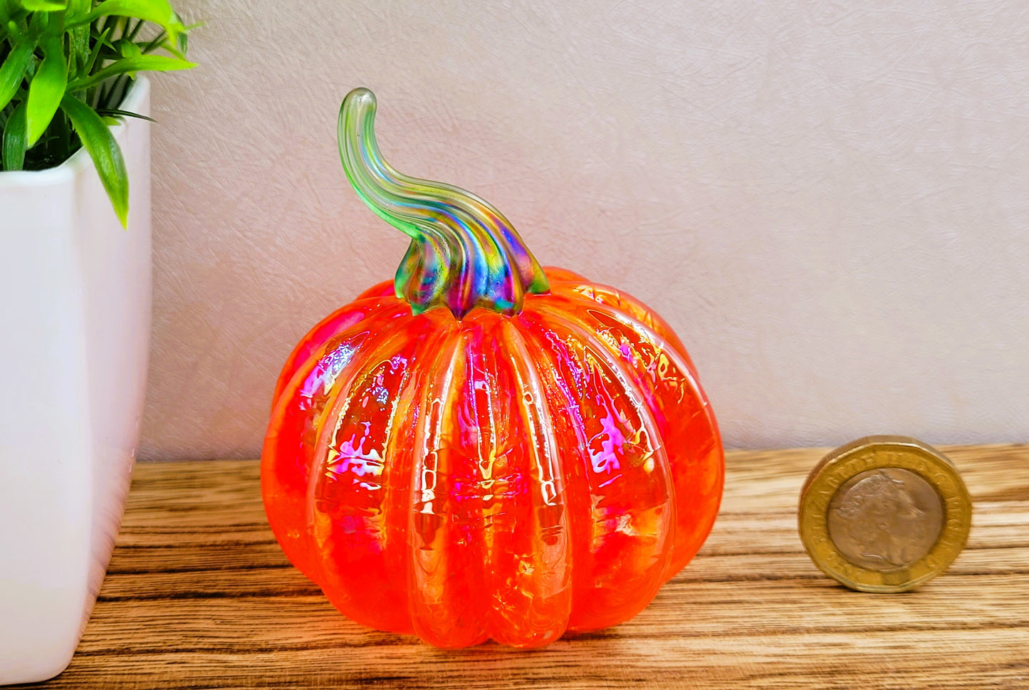 Pumpkin iridescent