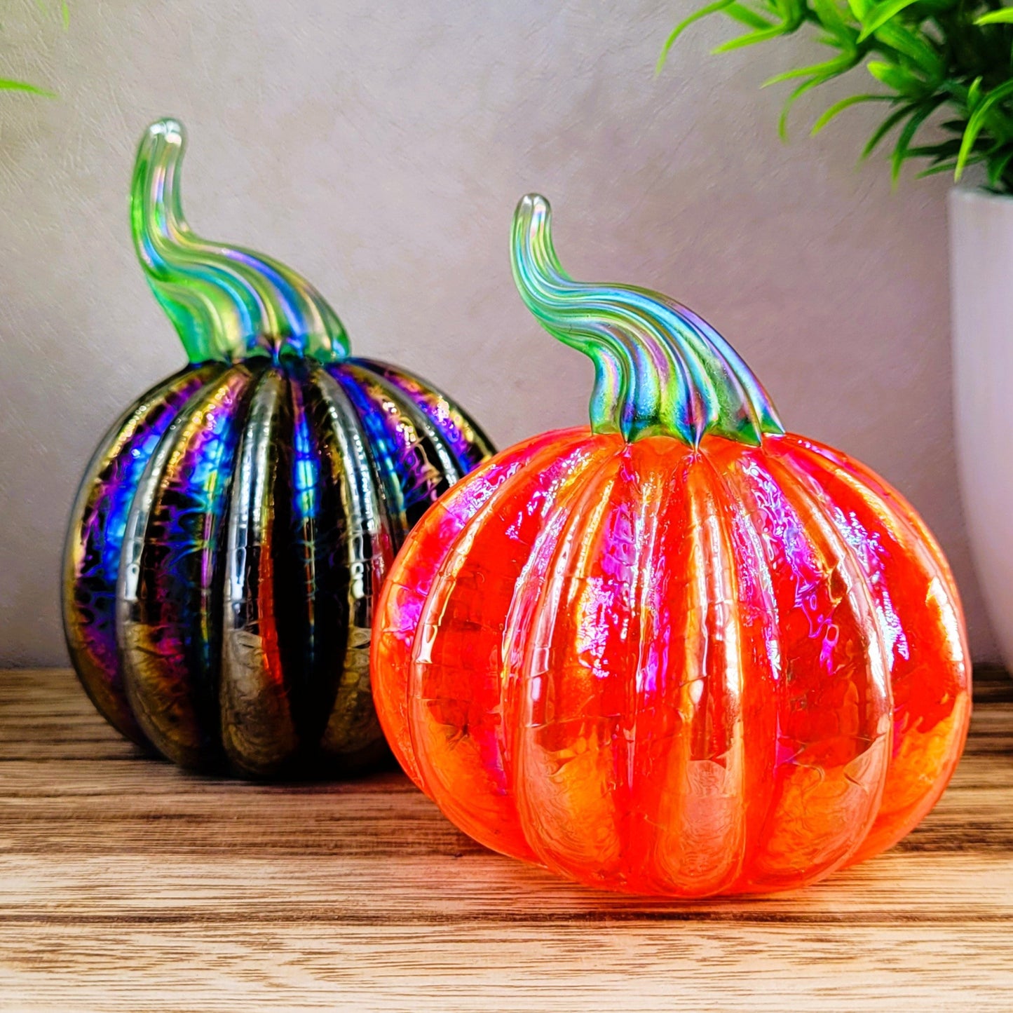 Pumpkin iridescent