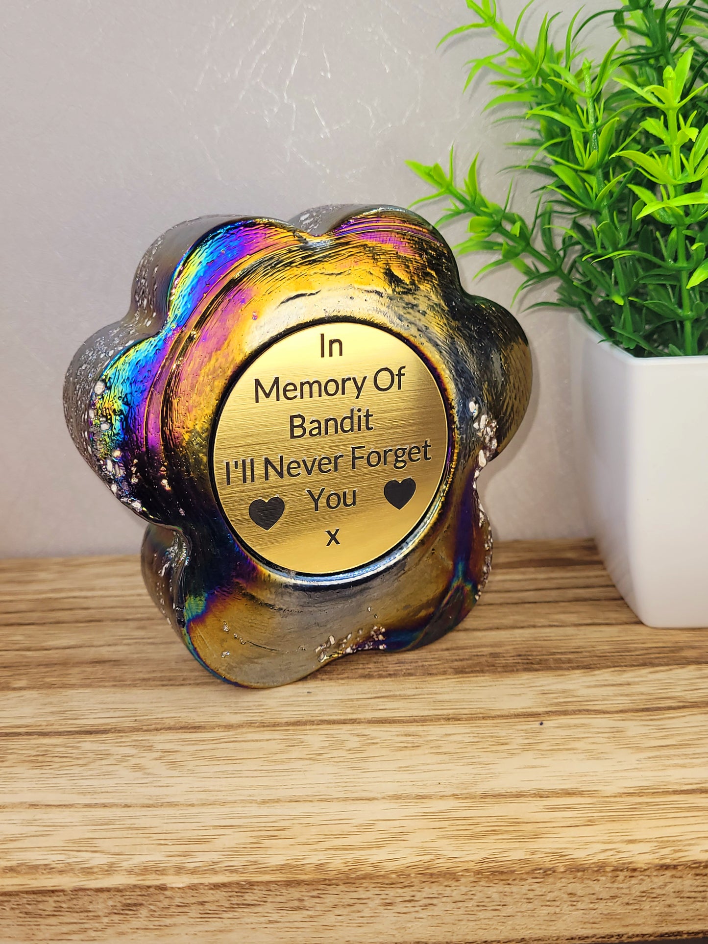 Ashes in glass pet memorial paw print LARGE