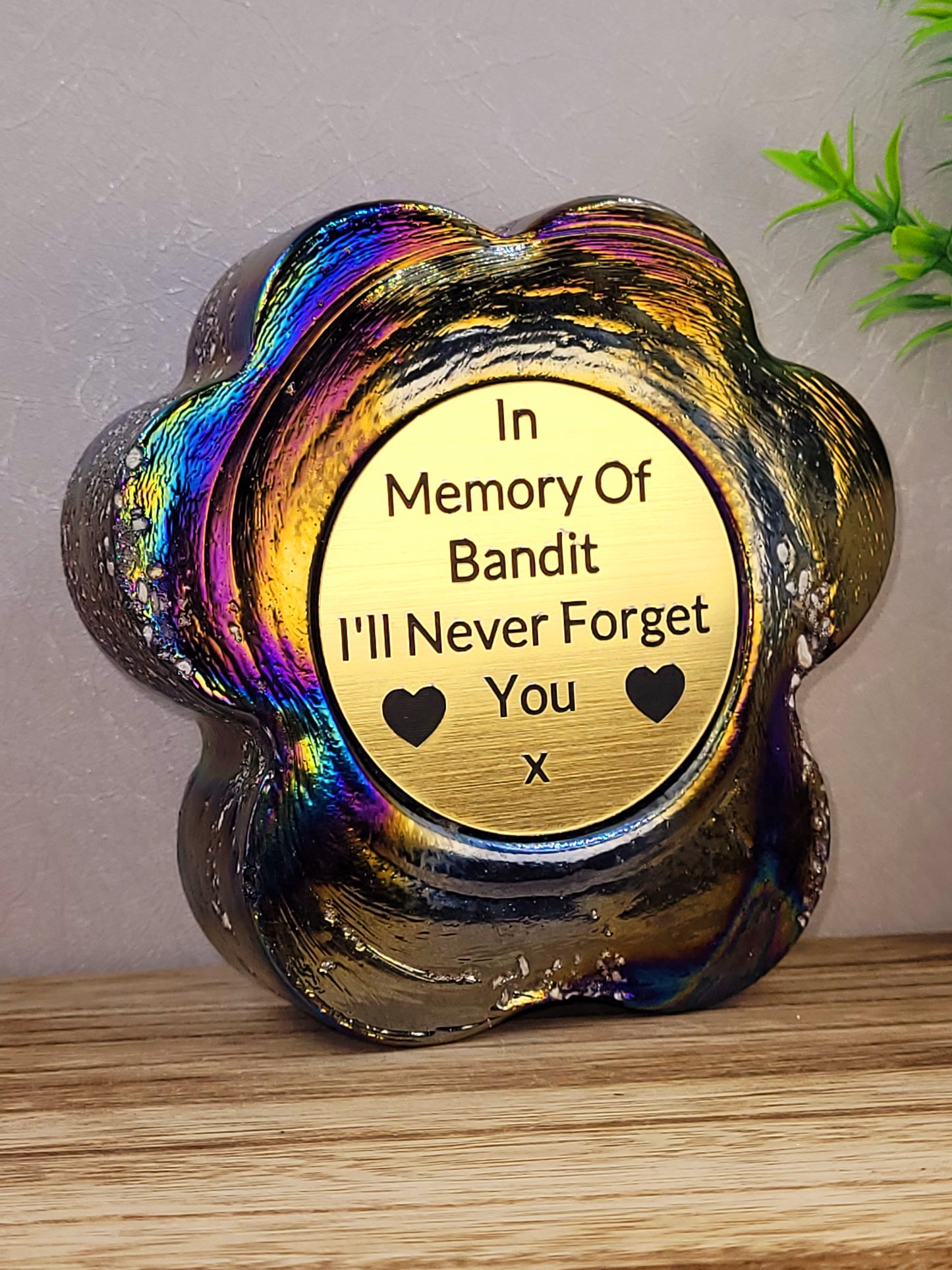 Ashes in glass pet memorial paw print LARGE