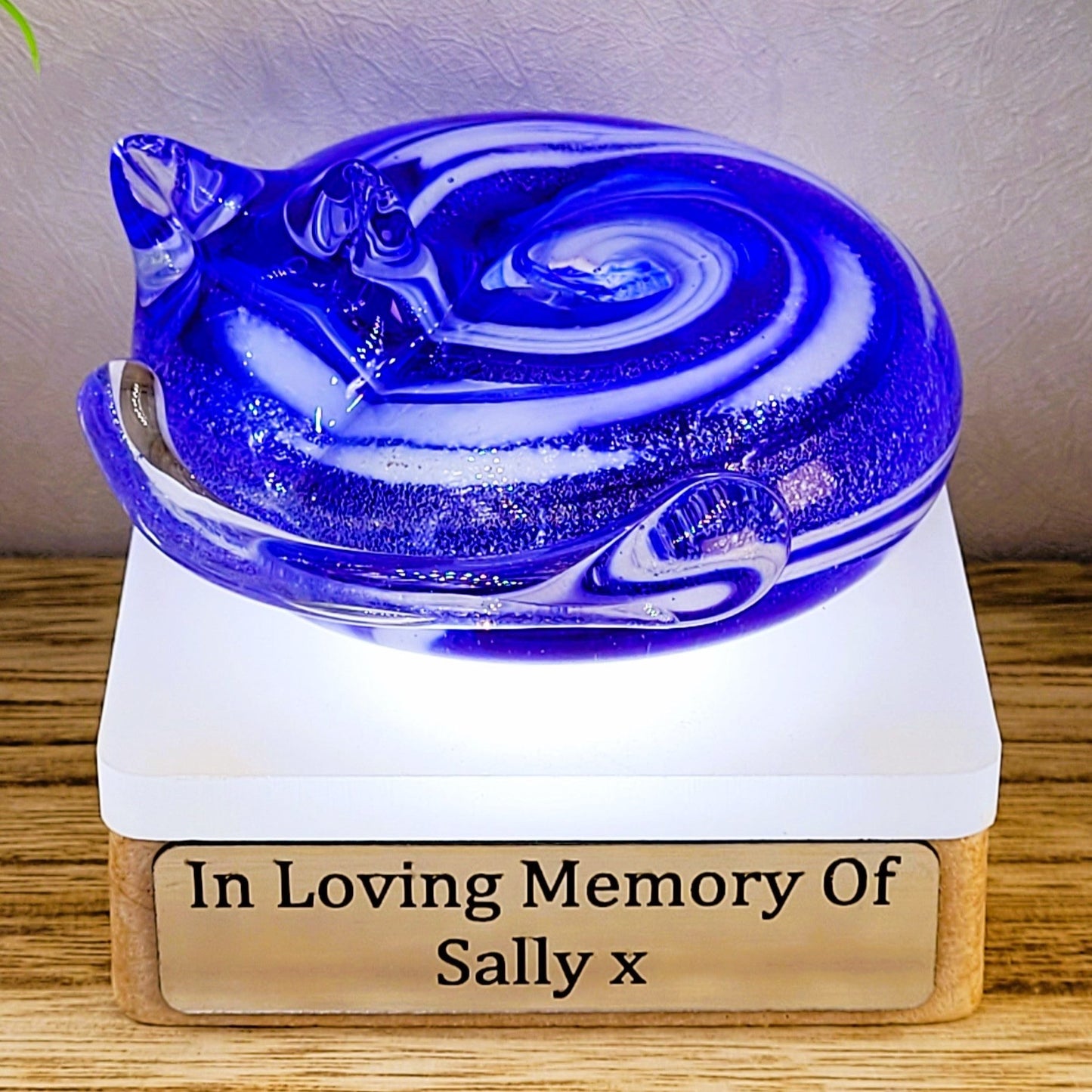 Ashes in glass memorial large cat