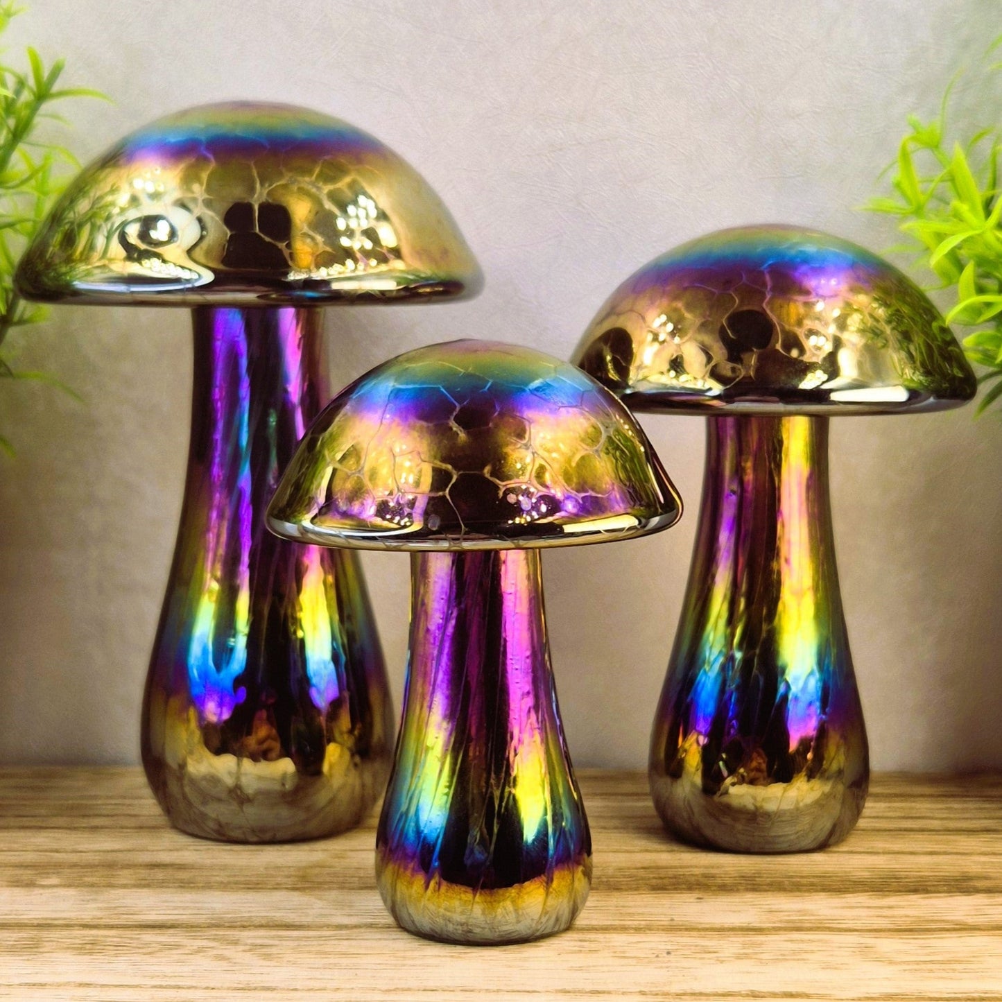 Mushroom Rainbow colours