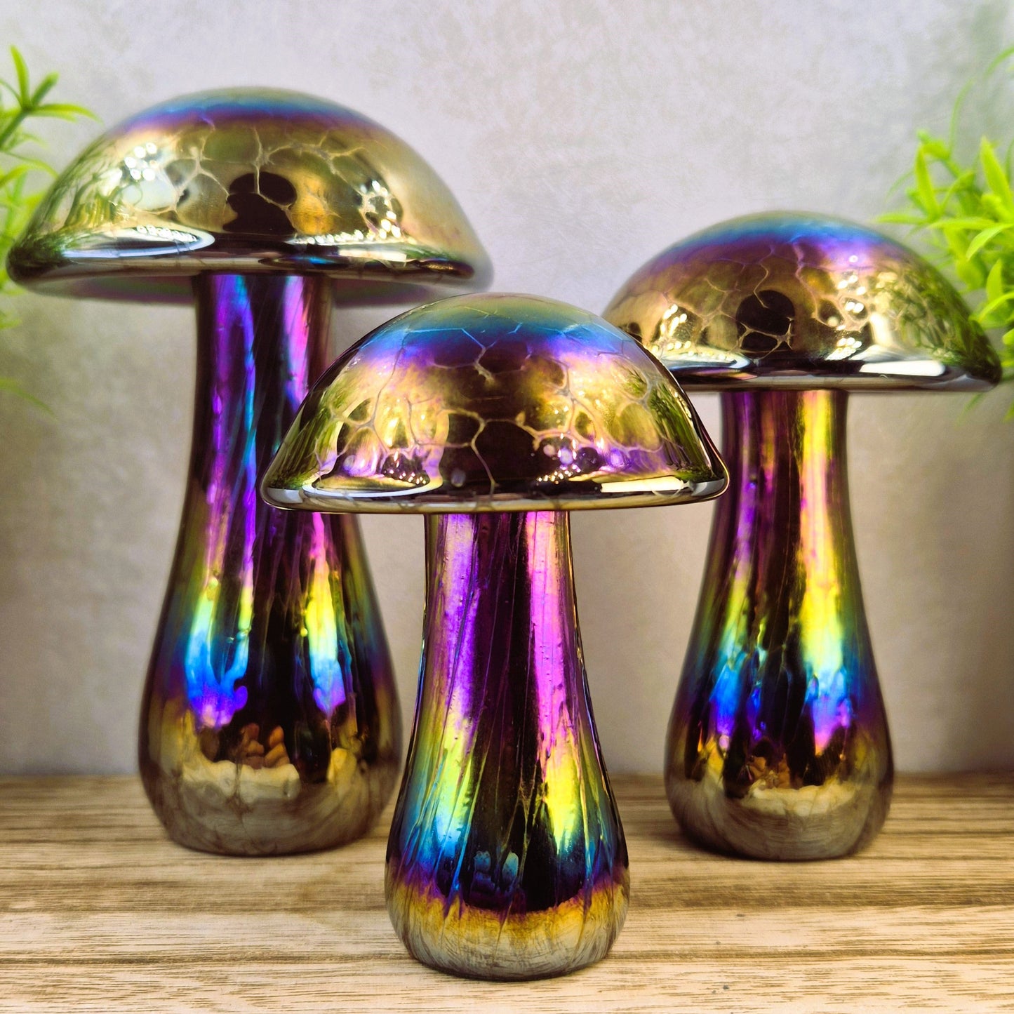 Mushroom Rainbow colours