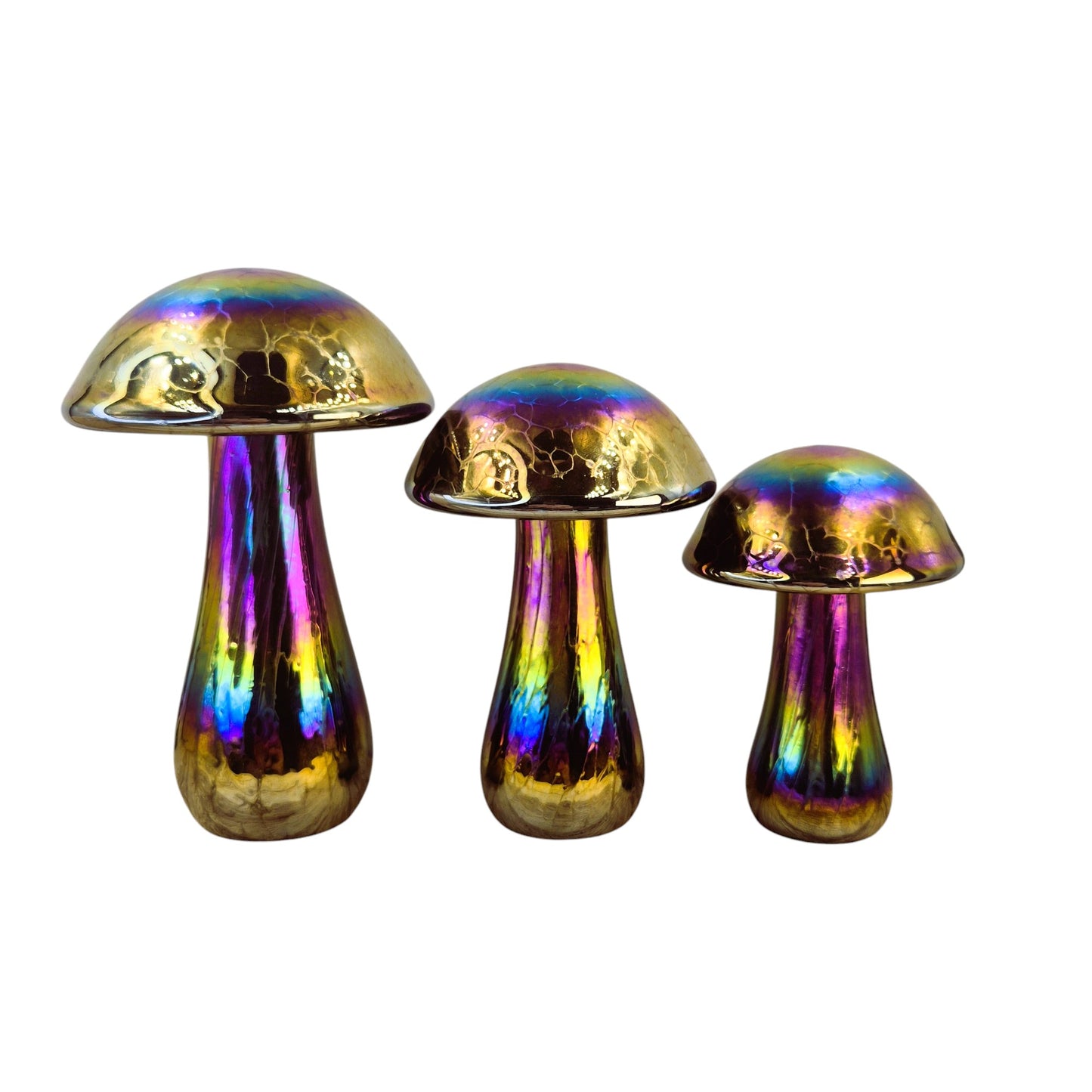 Mushroom Rainbow colours