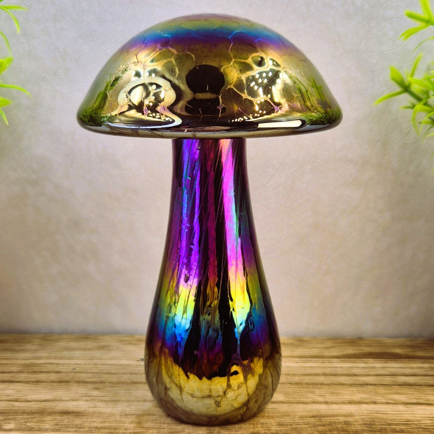 Mushroom Rainbow colours