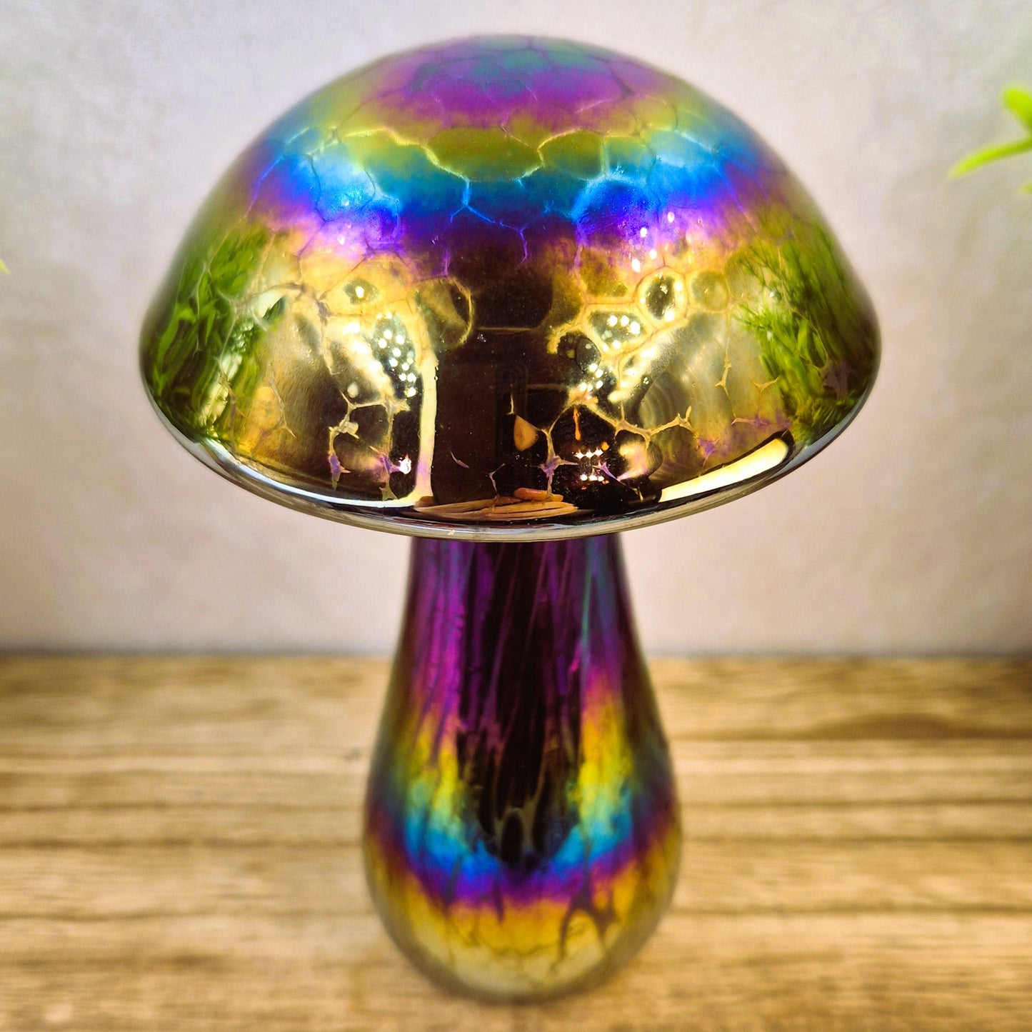 Mushroom Rainbow colours