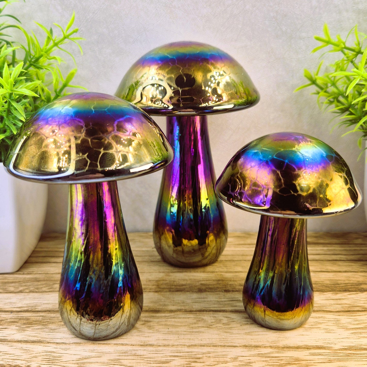 Mushroom Rainbow colours