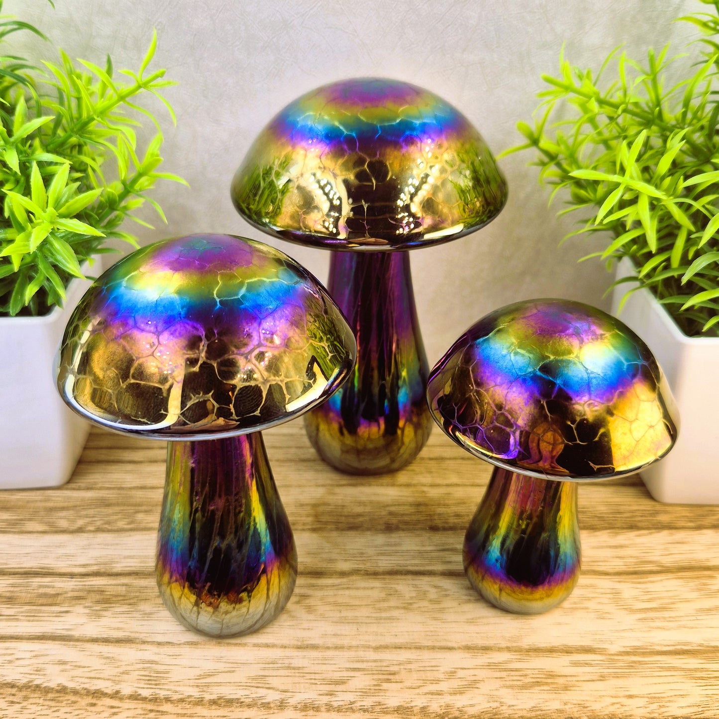 Mushroom Rainbow colours