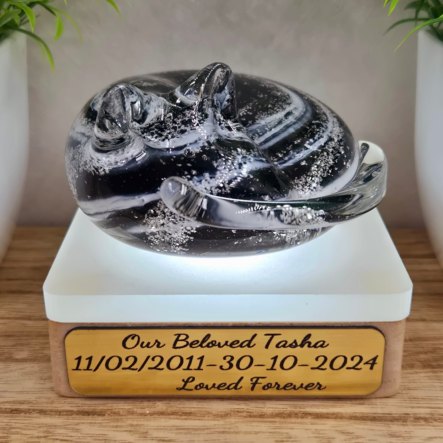 Memorial ashes in glass cat