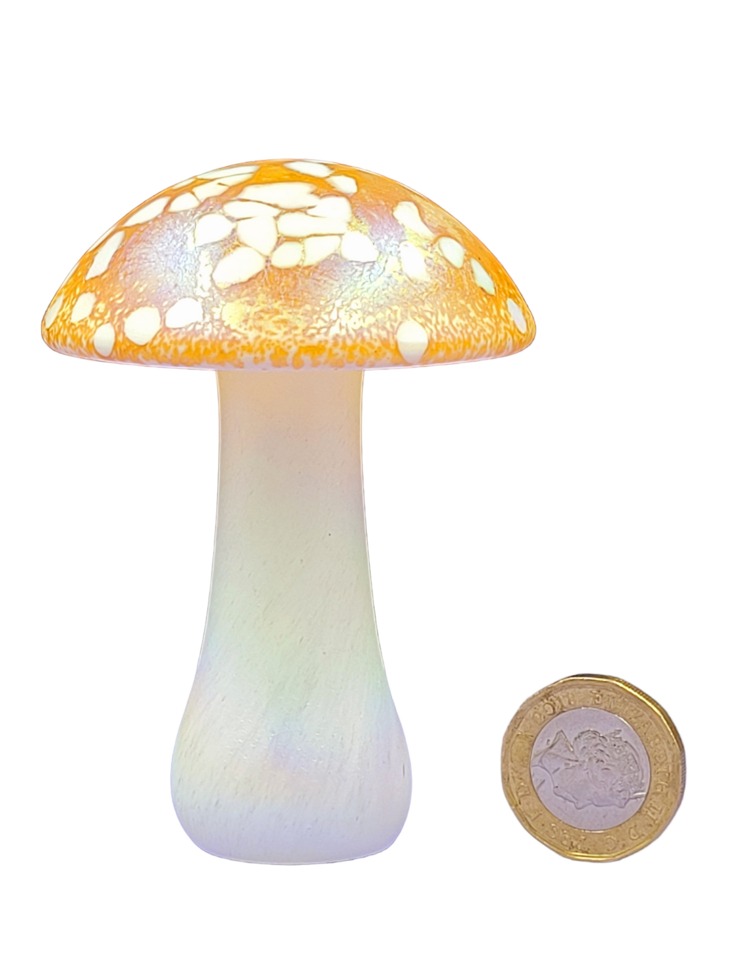 Glass mushroom decor ornament display glassware, colour choice