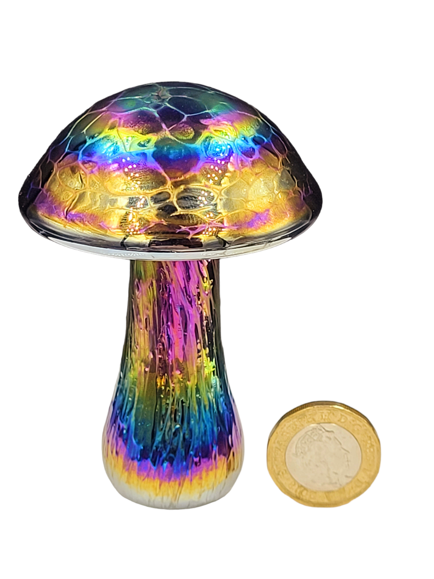 Mushroom Rainbow colours