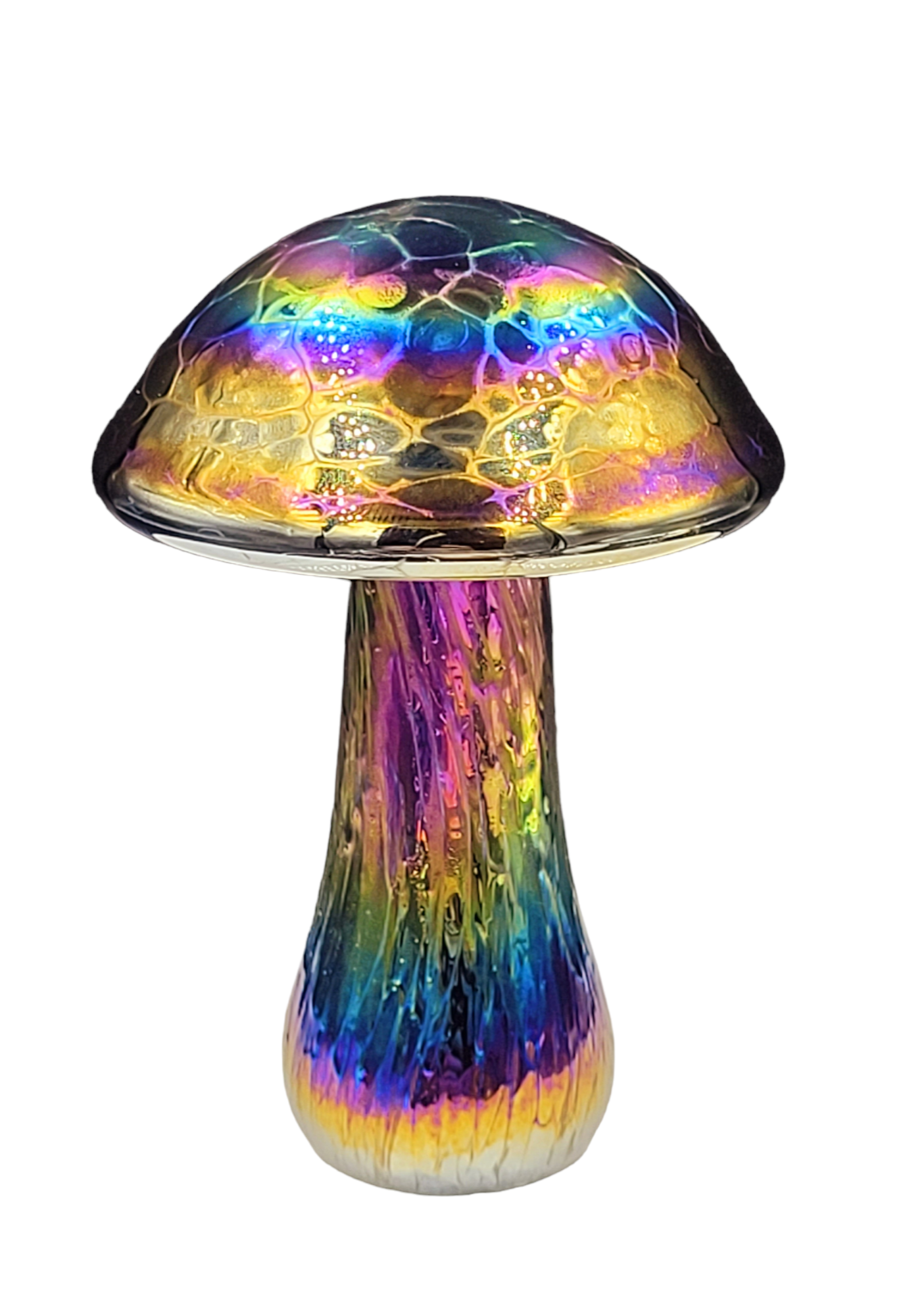 Mushroom Rainbow colours