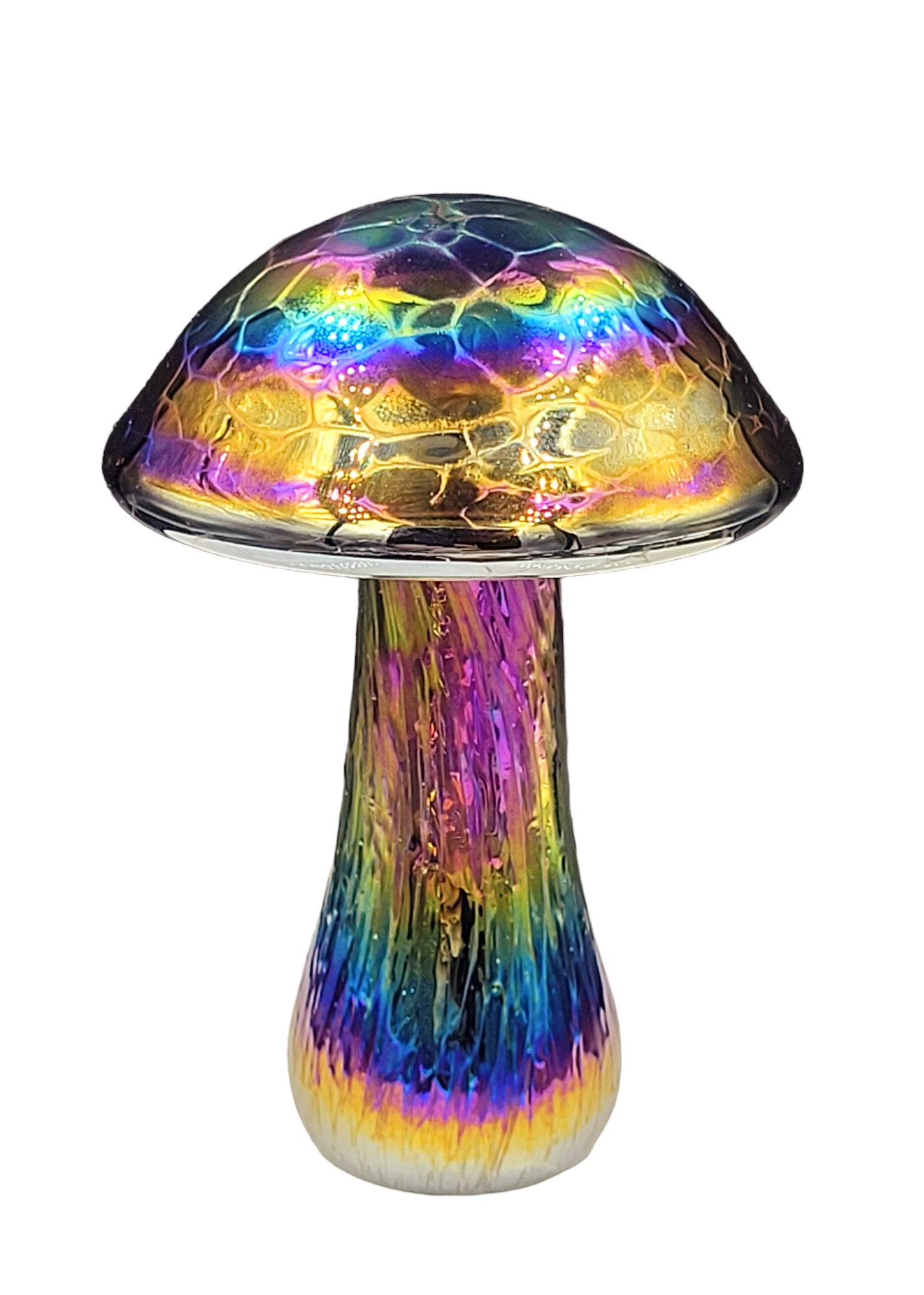 Mushroom Rainbow colours