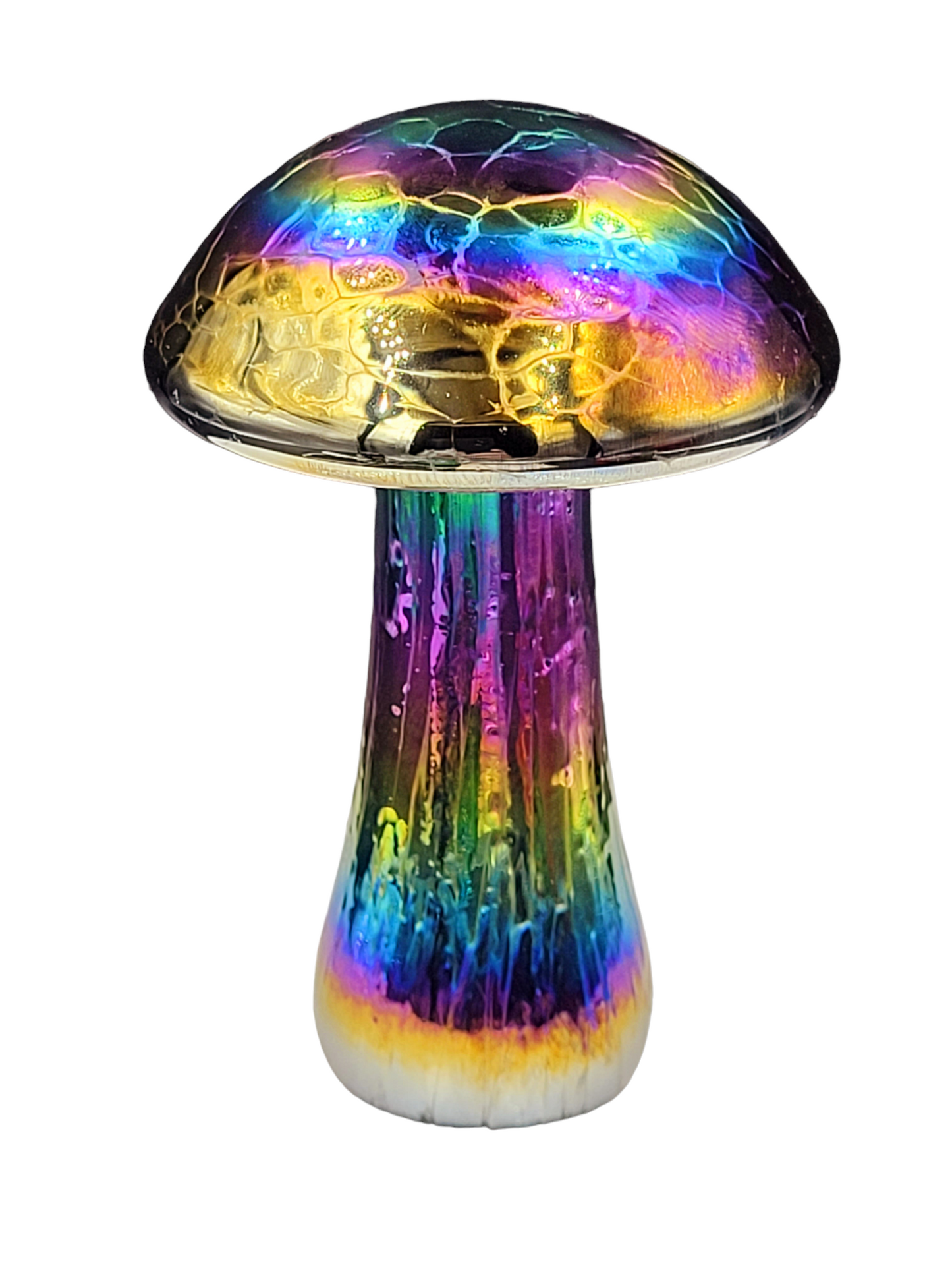 Mushroom Rainbow colours