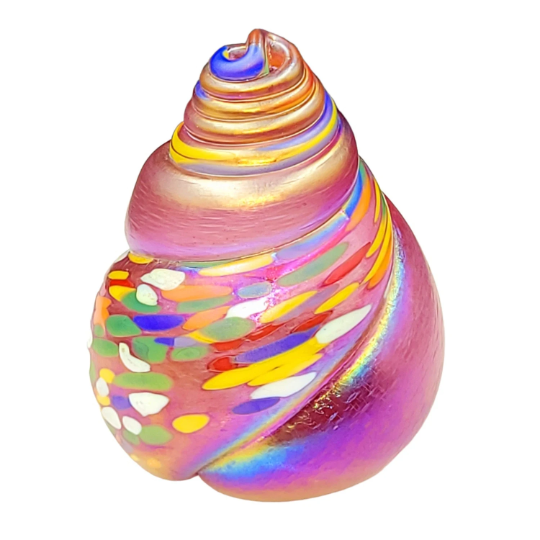 Shell paperweight ornament