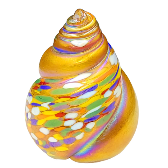 Shell paperweight ornament