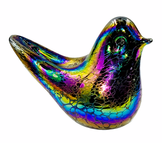 Bird iridescent