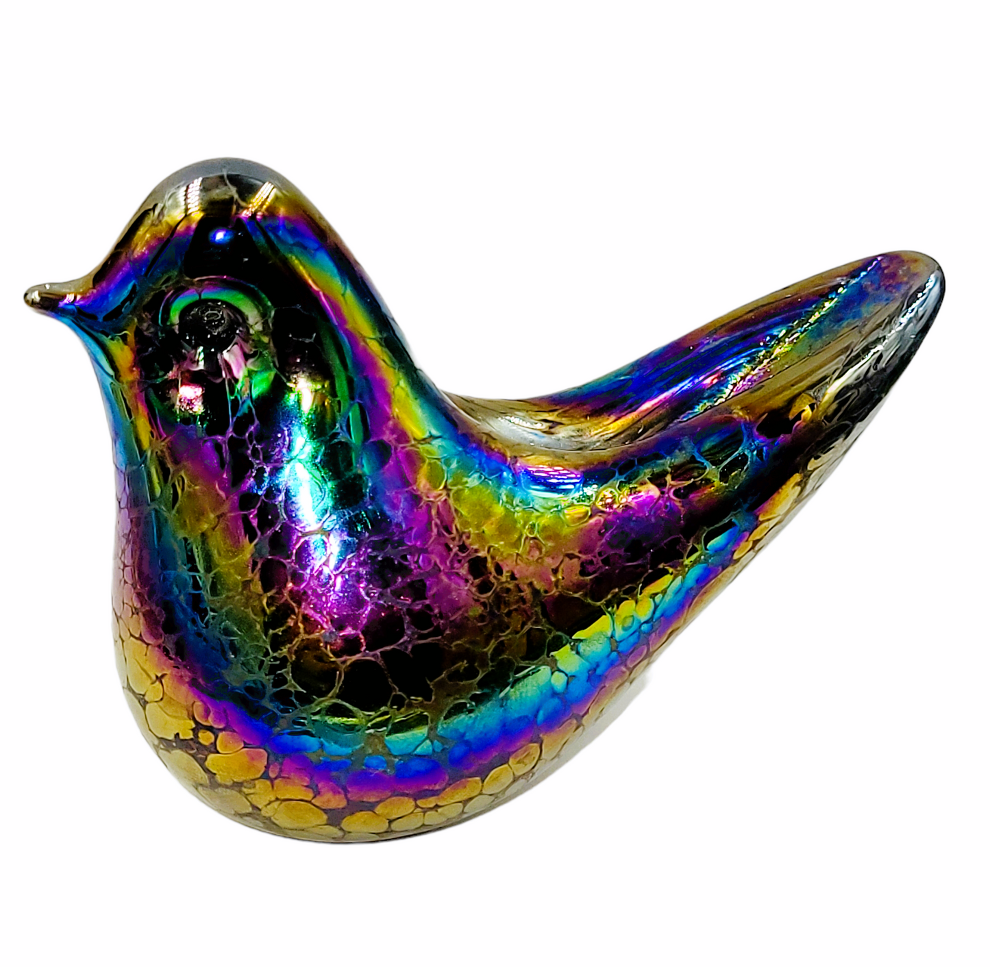 Bird iridescent