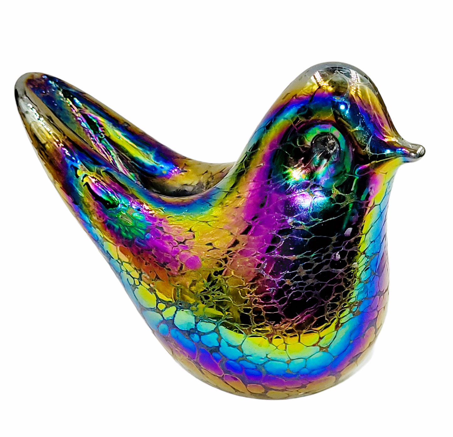 Bird iridescent